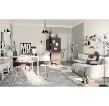 Dekorativní obývací pokoj s psacím stolem, postelí, pohovkou a různými doplňky