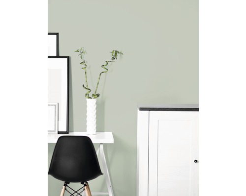 Kancelář se stolem, židlí, dekorací a barvou na stěnu.