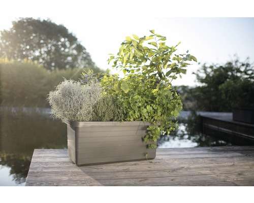 Šedý truhlík s rostlinami na dřevěné terase