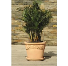 Podmiska Lafiora terakota Ø 30 cm