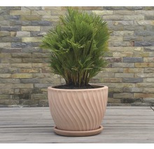 Podmiska Lafiora terakota Ø 30 cm