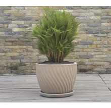 Podmiska Lafiora terakota Ø 30 cm hnědá