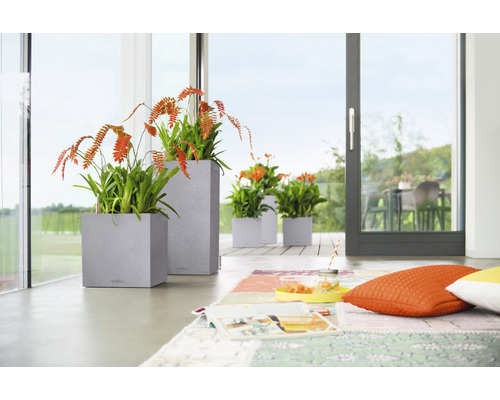 Obývací pokoj s rostlinami v květináčích před terasovými dveřmi