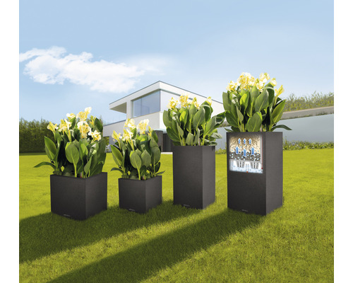Čtyři hranaté květináče s rostlinami různých velikostí na zahradě