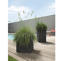 Dva čtvercové květináče s trávami na dřevěné terase