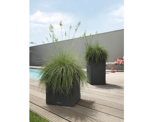 Dva čtvercové květináče s trávami na dřevěné terase