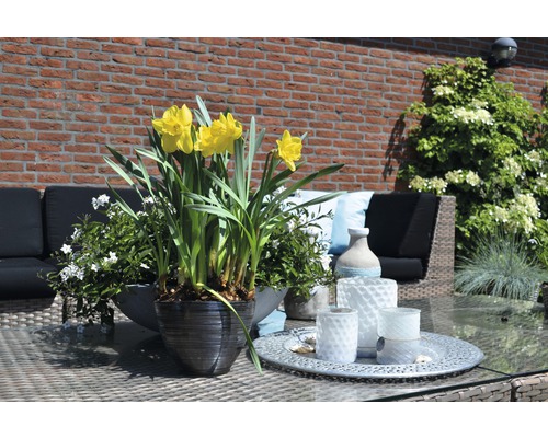 Zdobený zahradní stůl s narcisy v květináči, obklopený dekoracemi a zahradním nábytkem