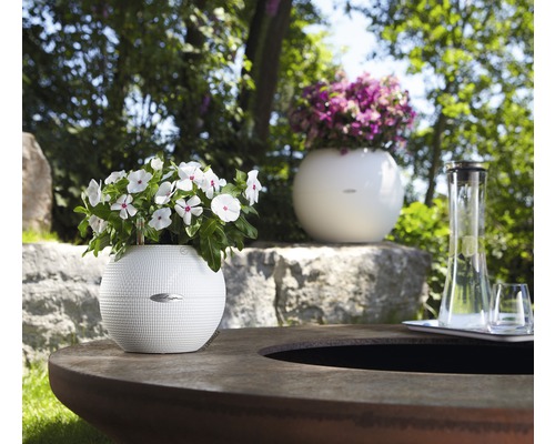 Scéna s květináči Lechuza na stole venku.