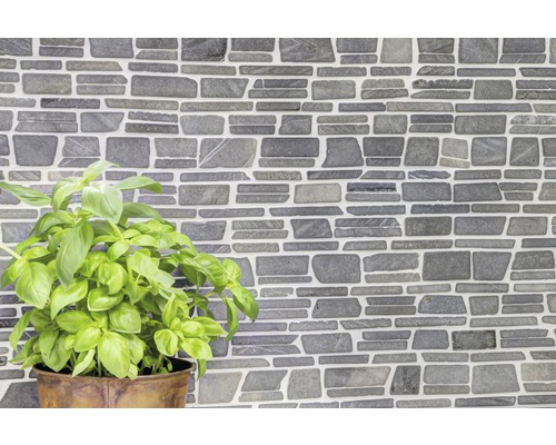 Obkladové dlaždice se vzhledem kamene s rostlinou bazalky
