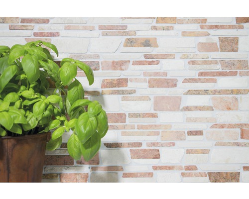 Obklad stěny s kamenným obkladem a rostlinou bazalky v květináči