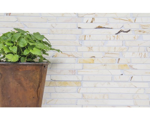 Rostlina v květináči před zdí z cihel