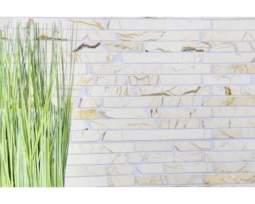 Obkladové dlaždice se vzhledem kamene a okrasná tráva