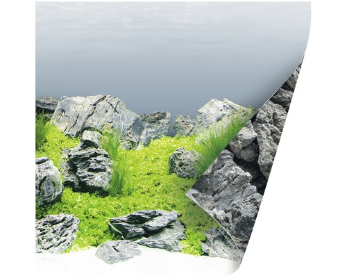 Pozadí akvária s kameny a rostlinami