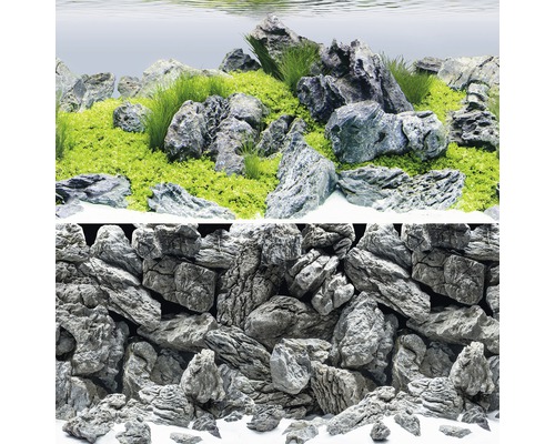 Dekorace akvária s kameny a rostlinami