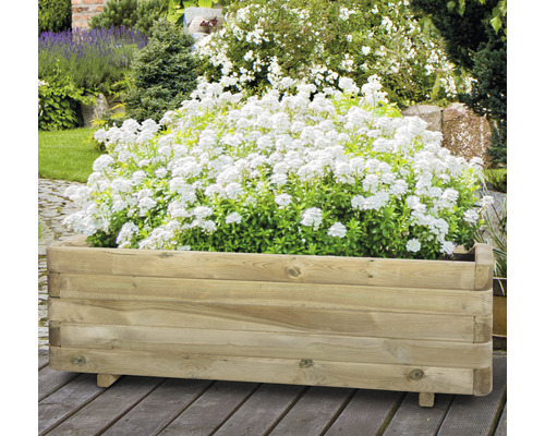 Dřevěný truhlík s bílými květy na zahradě