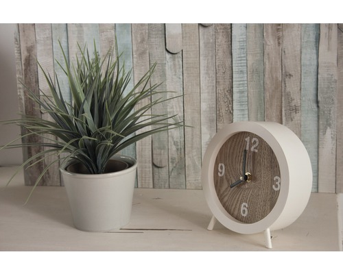 Dekorativní pokojová rostlina v květináči vedle analogových stolních hodin