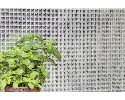 Bazalka v květináči před stěnou ze skleněných tvárnic