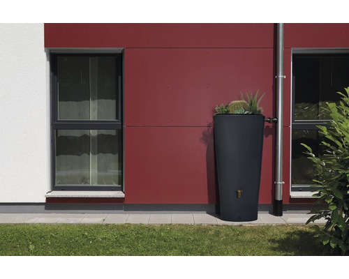 Tmavý sud na dešťovou vodu s rostlinami vedle svodu na stěně domu.