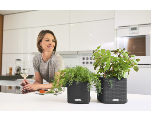 Scéna moderní kuchyně s květináči s bylinkami na kuchyňské lince