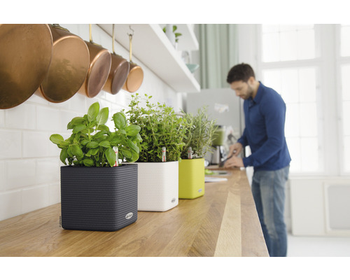 Kuchyně s bylinkami v květináčích na pracovní desce a osobou v pozadí