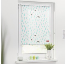 Roleta propouštějící denní světlo 45x150cm Okko