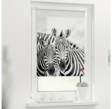 Roleta propouštějící denní světlo 45x150cm Zebra