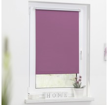 Roleta zatemňovací 45x150cm Liška