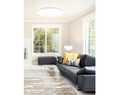 Obývací pokoj se stropním svítidlem, pohovkou a kobercem