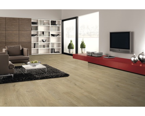 Obývací pokoj se světlou dřevěnou podlahou, posezením a knihovnou