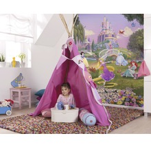 Fototapeta papírová 4-4026 Disney Princess Sunset 4-dílná 184x254 cm