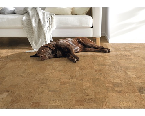 Hnědý pes leží na korkové podlaze vedle bílé pohovky