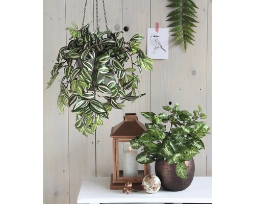 Dekorativní interiér s visící rostlinou, pokojovou rostlinou a lucernou na stole.