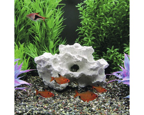 Akvárium s rybami, dekorací a rostlinami