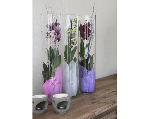 Dekorativní orchideje ve skleněných vázách se svícny na čajové svíčky na stole