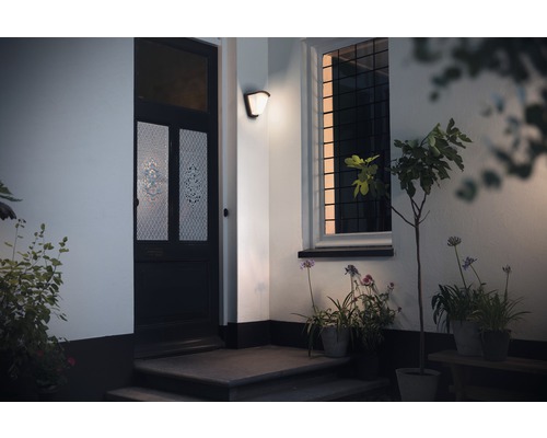 Vstupní prostor domu s dveřmi, oknem a venkovní lampou