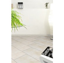 Světlá místnost s podlahovými dlaždicemi se vzhledem kamene, rostlinou a dekorací