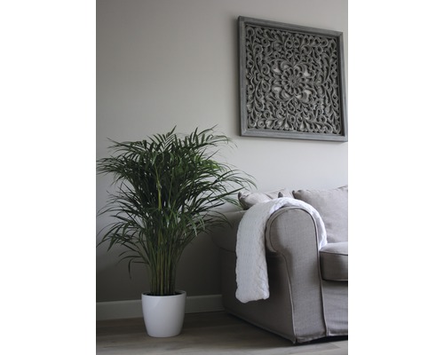 Obývací pokoj s pokojovou rostlinou, pohovkou a nástěnnou dekorací