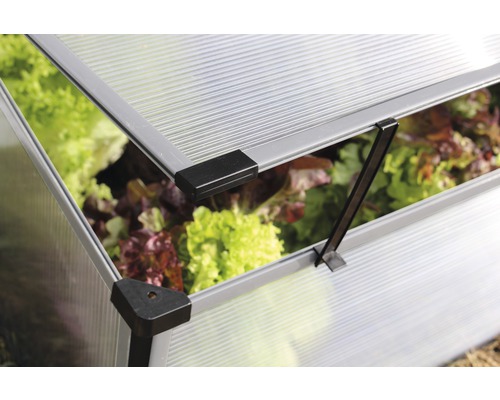 Detailní pohled na pařeniště s otevřeným víkem a salátem