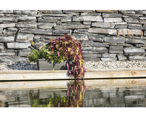 Květináč s okrasnými rostlinami u rybníka