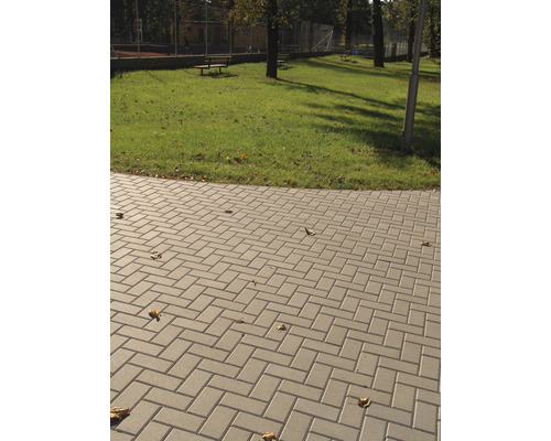 Dlažební kostky v parku se stromy a lavičkami