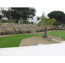 Zahrada s kamennou zdí, trávníkem a palmami