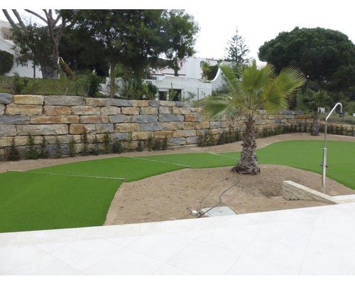 Zahrada s kamennou zdí, trávníkem a palmami