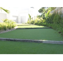 Scéna s návrhem zahrady s umělým trávníkem a rostlinami