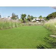 Plocha umělého trávníku v zahradě s rostlinami a obytnými domy v pozadí.