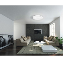 Obývací pokoj se stropním svítidlem, pohovkami, kobercem a televizí