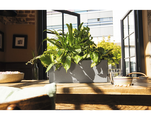 Květináč s rostlinami na dřevěném stole před oknem