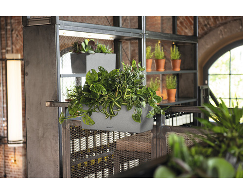 Scéna s osázenými šedými truhlíky na kovovém regálu.