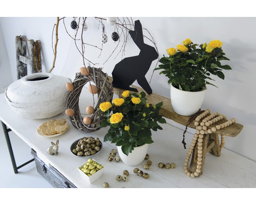 Slavnostní velikonoční dekorace s růžemi, velikonočními vejci a velikonočními zajíčky na stole.