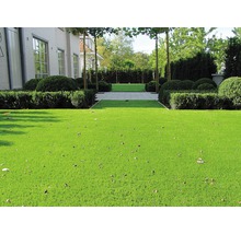 Umělý trávník Arizona s drenáží zelený šířka 200 cm (metráž)-thumb-19