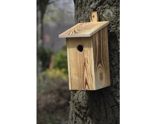 Dřevěná ptačí budka namontovaná na stromě
